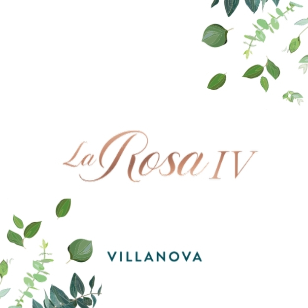 LA ROSA 4